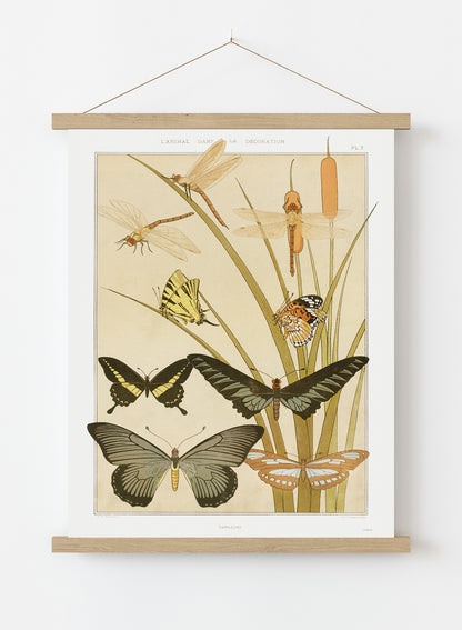 "Papillons" (Butterflies) by Maurice Pillard Verneuil Vintage Art Wall Art Print 70x50cm