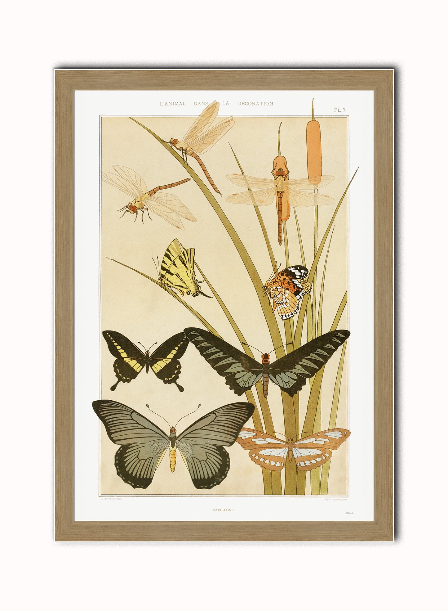 "Papillons" (Butterflies) by Maurice Pillard Verneuil Vintage Art Wall Art Print 70x50cm