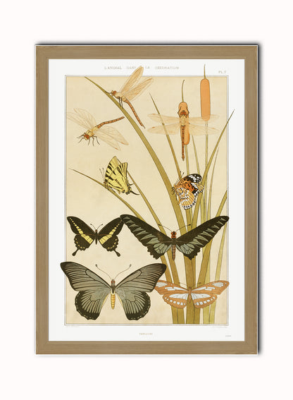 "Papillons" (Butterflies) by Maurice Pillard Verneuil Vintage Art Wall Art Print 70x50cm