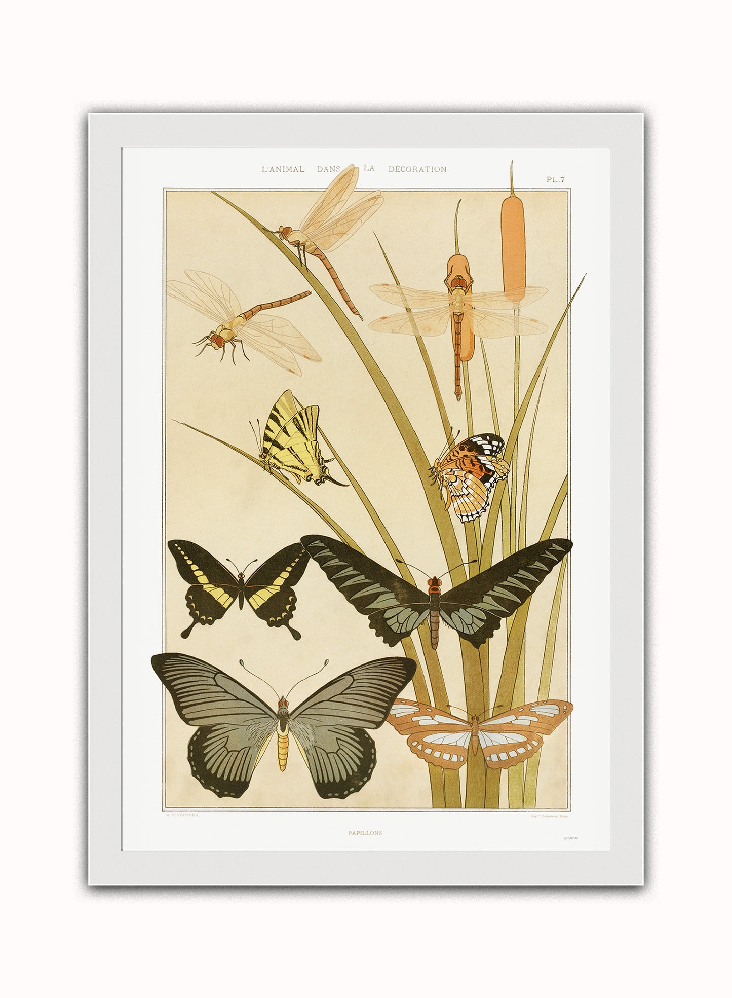 "Papillons" (Butterflies) by Maurice Pillard Verneuil Vintage Art Wall Art Print 70x50cm