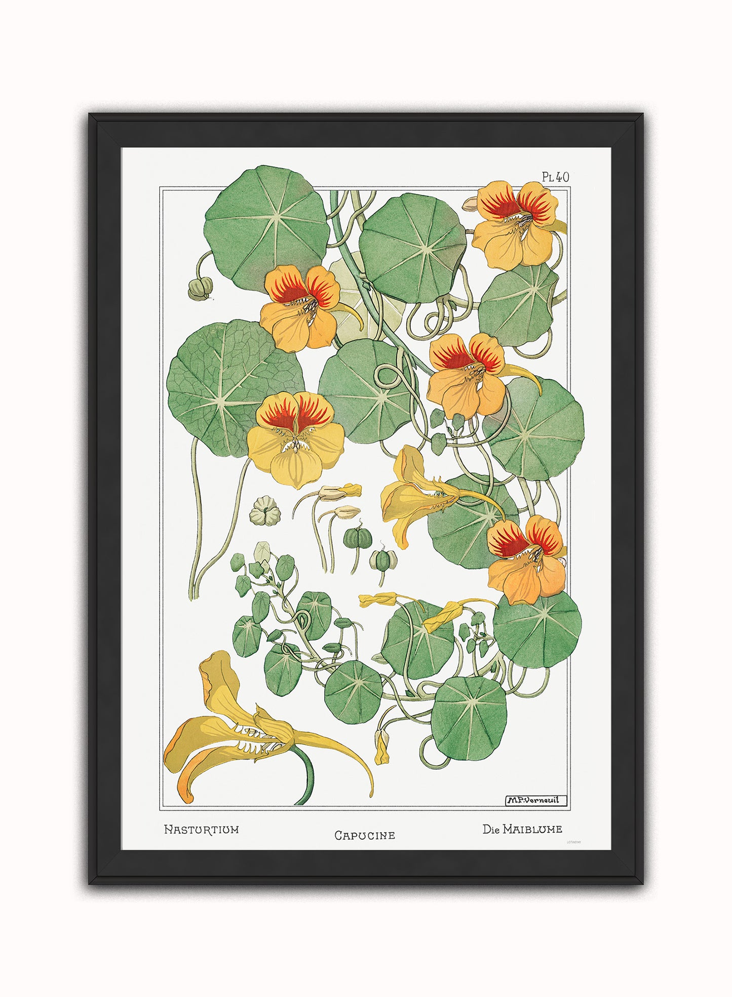 Botanical Print – Maurice Pillard Verneuil. Botanical Wall Art 50x70cm Black Frame