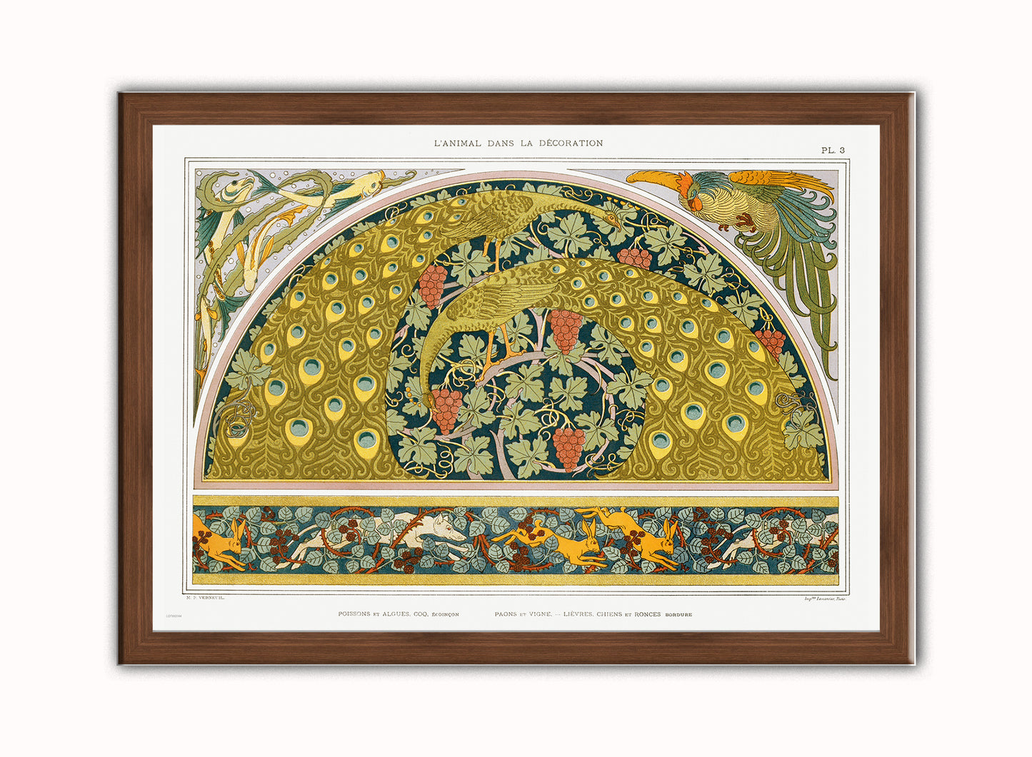 Botanical Print – Maurice Pillard Verneuil Botanical Wall Art 50x70cm Dark Wood Frame