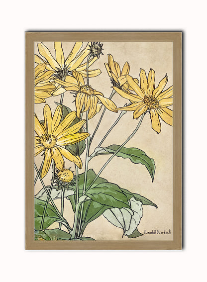 Sunflowers (1915) by Hannah Borger Overbeck Botanical Print – Hannah Borger Overbeck Botanical Botanical Wall Art 50x70cm Light Wood Frame