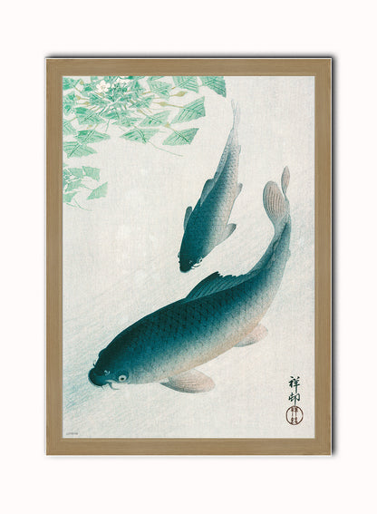 Koi Carp by Ohara Koson 1926 Japenese Poster Art Print Print – Ohara Koson Vintage Poster Wall Art 50x70cm Light Wood Frame