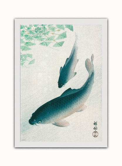 Koi Carp by Ohara Koson 1926 Japenese Poster Art Print Print – Ohara Koson Vintage Poster Wall Art 50x70cm White Frame