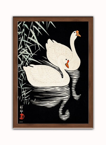 Swans Refelicting on the river by Ohara Koson 1900 - 1945 Japenese Poster Art Print Print – Ohara Koson Vintage Poster Wall Art 50x70cm Dark Wood Frame