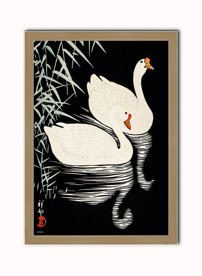 Swans Refelicting on the river by Ohara Koson 1900 - 1945 Japenese Poster Art Print Print – Ohara Koson Vintage Poster Wall Art 50x70cm Light Wood Frame