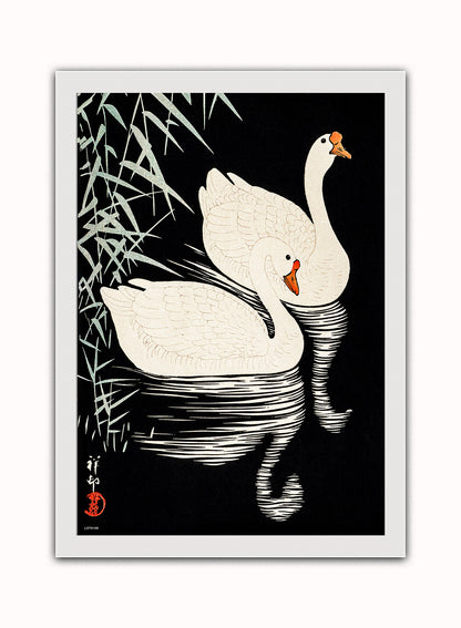 Swans Refelicting on the river by Ohara Koson 1900 - 1945 Japenese Poster Art Print Print – Ohara Koson Vintage Poster Wall Art 50x70cm White Frame
