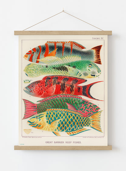 Great Barrier Reef Vintage Poster Wall Art Print 50x70cm Poster Hanger