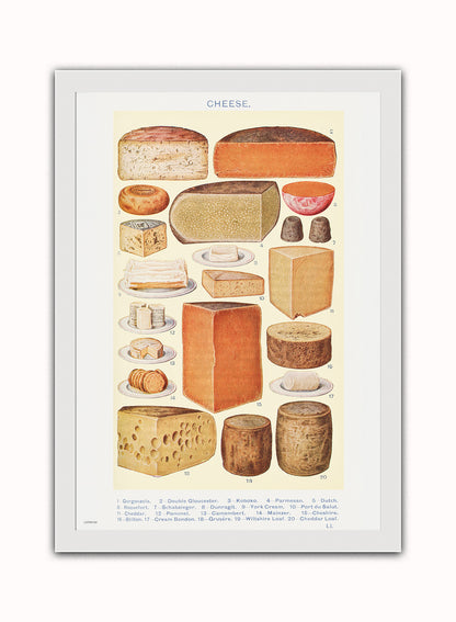 Cheese Chart Poster Vintage Poster Wall Art Print 50x70cm White Frame