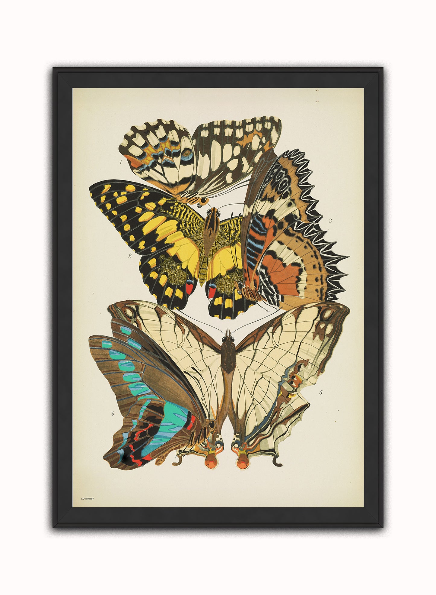 Art Deco Butterflies by Émile-Alain Séguy Art Deco Wall Art Print 50x70cm Black Frame