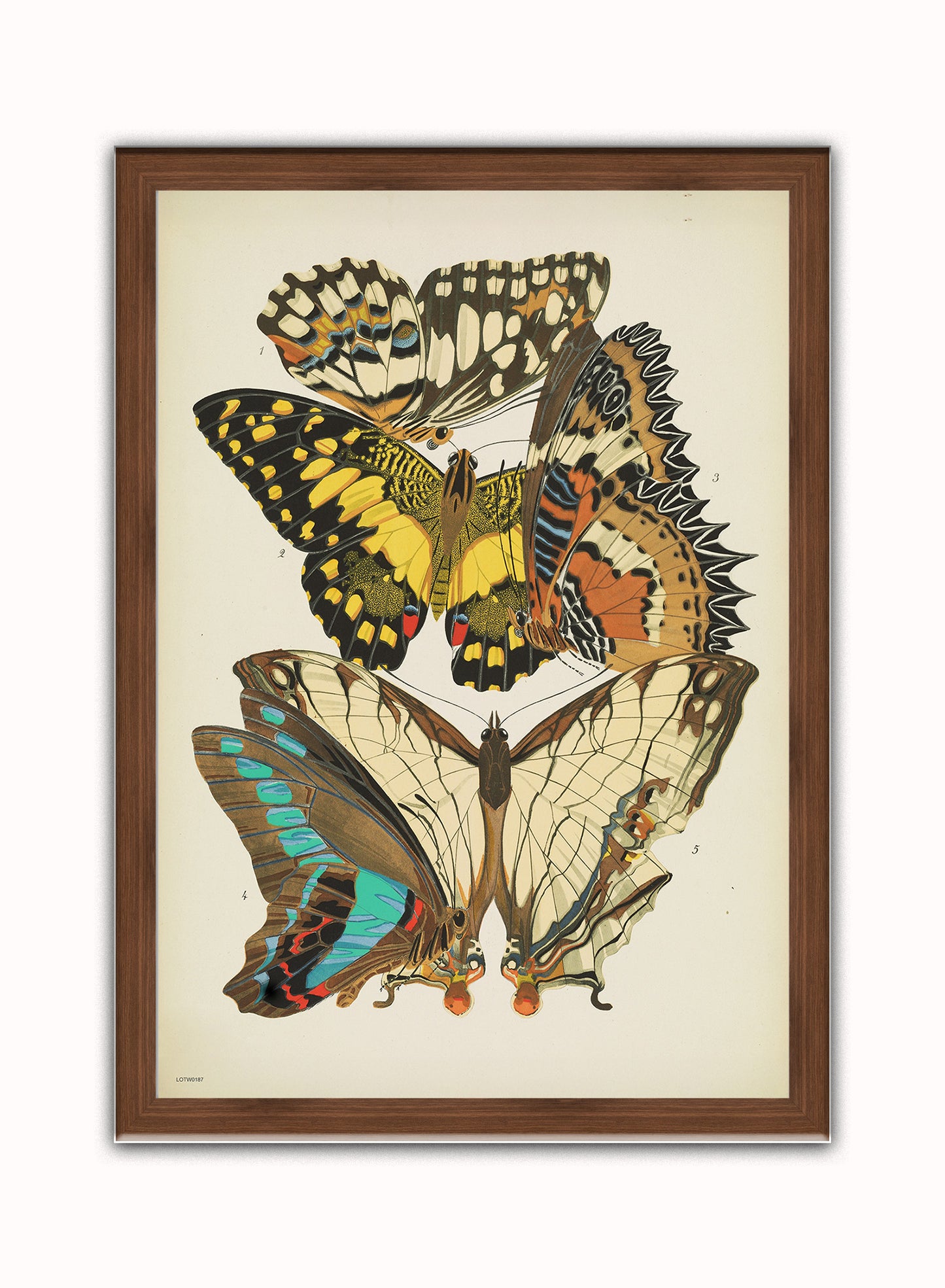 Art Deco Butterflies by Émile-Alain Séguy Art Deco Wall Art Print 50x70cm Dark Wood Frame
