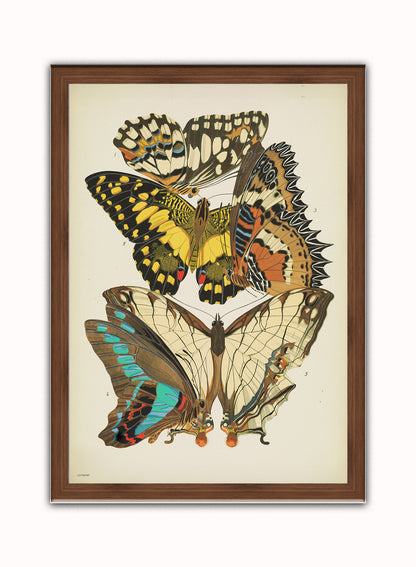 Art Deco Butterflies by Émile-Alain Séguy Art Deco Wall Art Print 50x70cm Dark Wood Frame