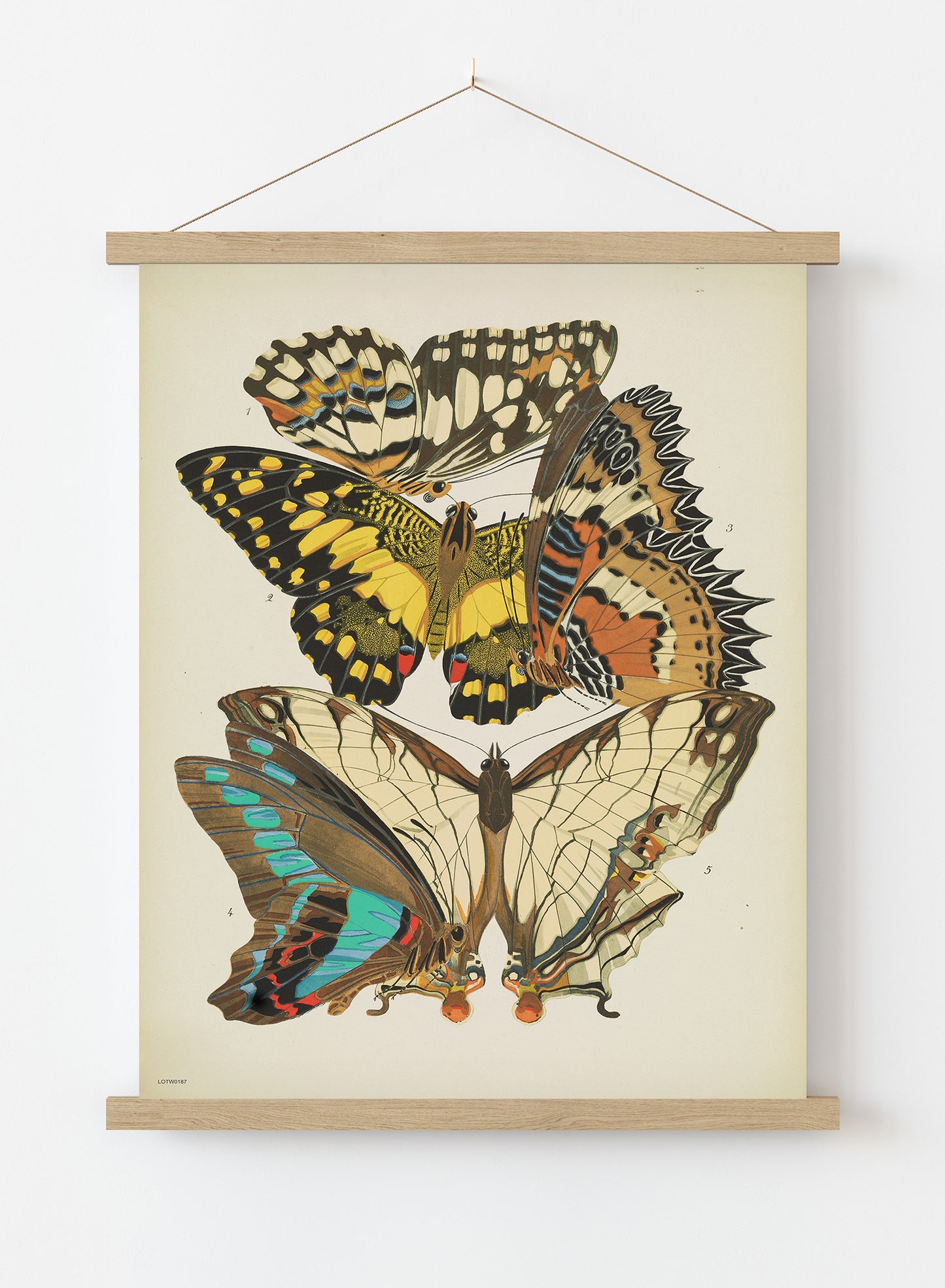 Art Deco Butterflies by Émile-Alain Séguy Art Deco Wall Art Print 50x70cm Poster Hanger