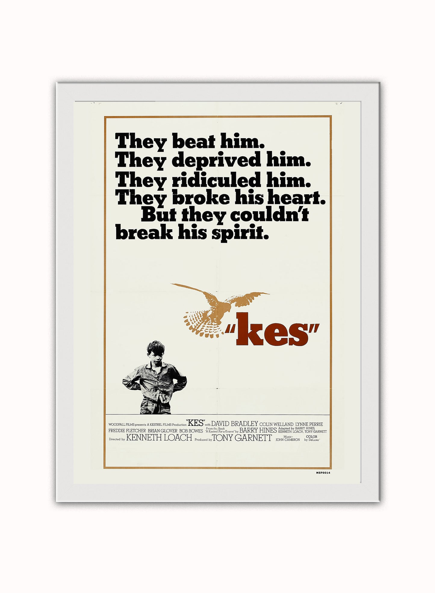 Kes Vintage Poster Wall Art Print 30x40cm White Frame