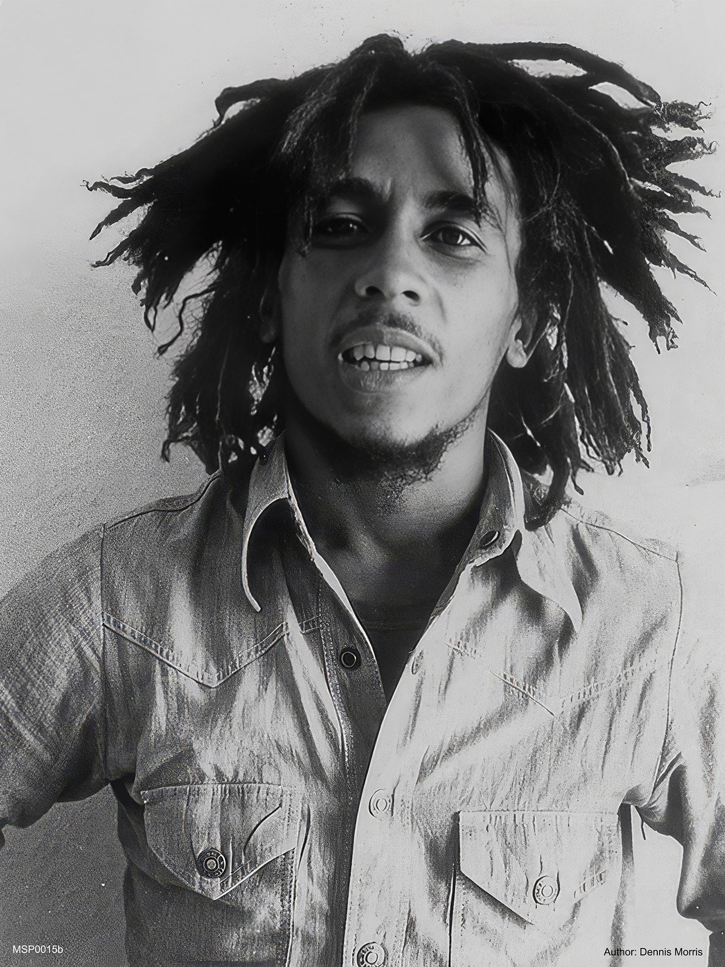 Bob Marley 1976 Poster Art Print 30x40m