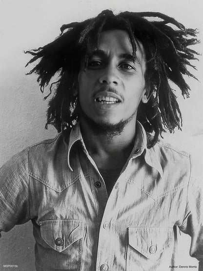 Bob Marley 1976 Poster Art Print 30x40m