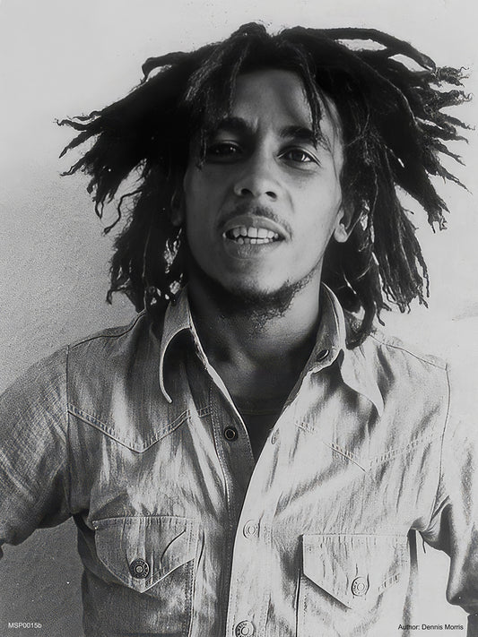 Bob Marley 1976 Poster Art Print 30x40m