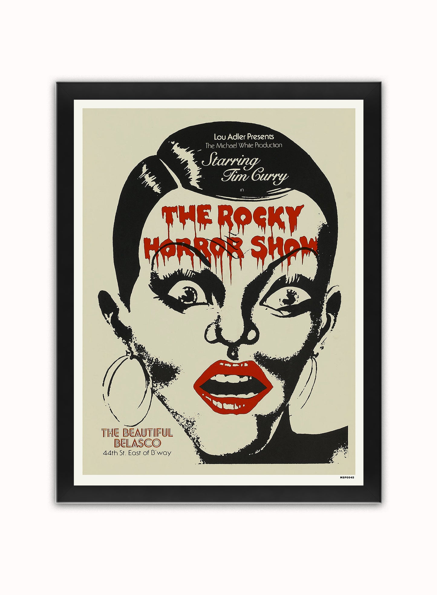 Rocky Horror Vintage Poster Wall Art Print 30x40cm Black Frame