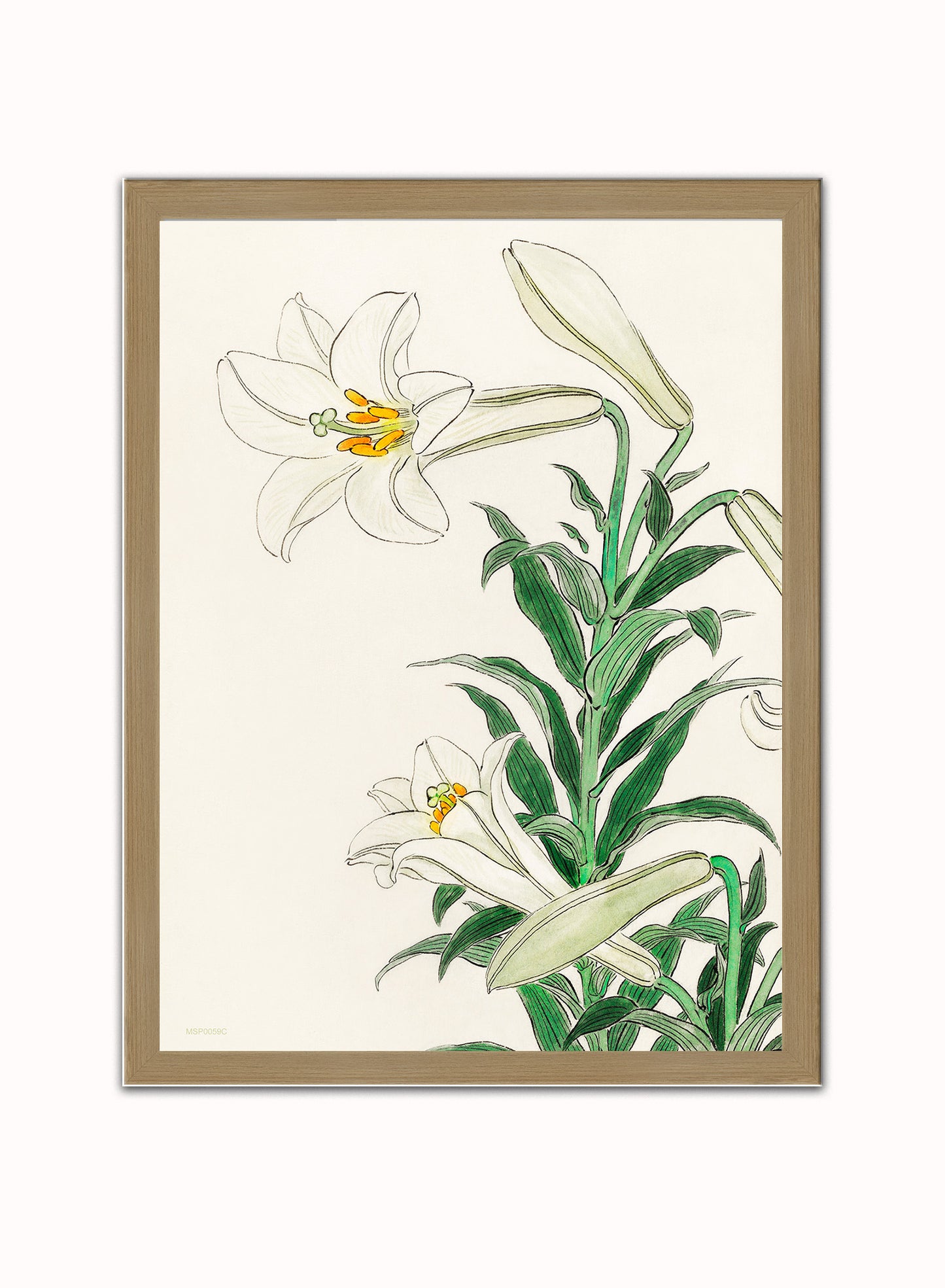White Lily by Ohara Koson 1900 - 1945 Japenese Poster Art Print Print – Ohara Koson Vintage Poster Wall Art 30x40cm Light Wood