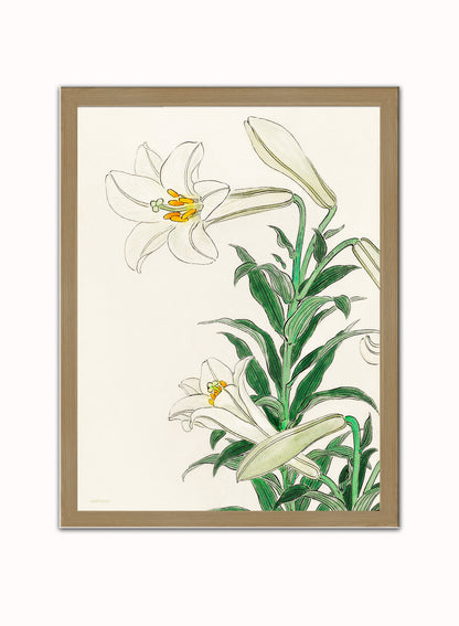 White Lily by Ohara Koson 1900 - 1945 Japenese Poster Art Print Print – Ohara Koson Vintage Poster Wall Art 30x40cm Light Wood