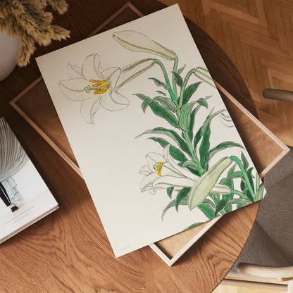 White Lily by Ohara Koson 1900 - 1945 Japenese Poster Art Print 30x40cm