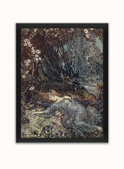 Titania, the Queen of the Fairies Mid Summer Nights Dream Arthur Rackham Art Print Vintage Art Wall Art Print 30x40cm Black Frame
