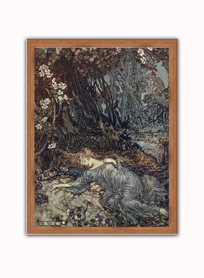 Titania, the Queen of the Fairies Mid Summer Nights Dream Arthur Rackham Art Print Vintage Art Wall Art Print 30x40cm Dark Wood