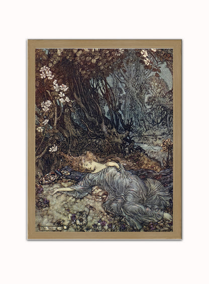 Titania, the Queen of the Fairies Mid Summer Nights Dream Arthur Rackham Art Print Vintage Art Wall Art Print 30x40cm Light Wood