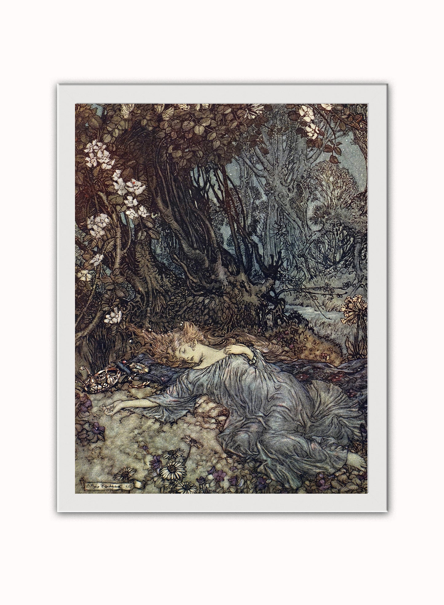 Titania, the Queen of the Fairies Mid Summer Nights Dream Arthur Rackham Art Print Vintage Art Wall Art Print 30x40cm White Frame