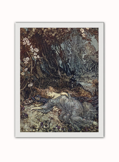 Titania, the Queen of the Fairies Mid Summer Nights Dream Arthur Rackham Art Print Vintage Art Wall Art Print 30x40cm White Frame