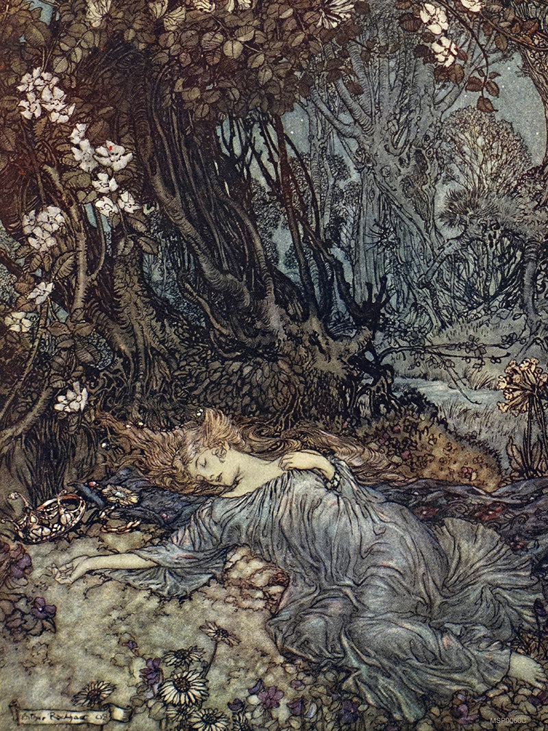 Titania, the Queen of the Fairies Mid Summer Nights Dream Arthur Rackham Art Print 30x40cm