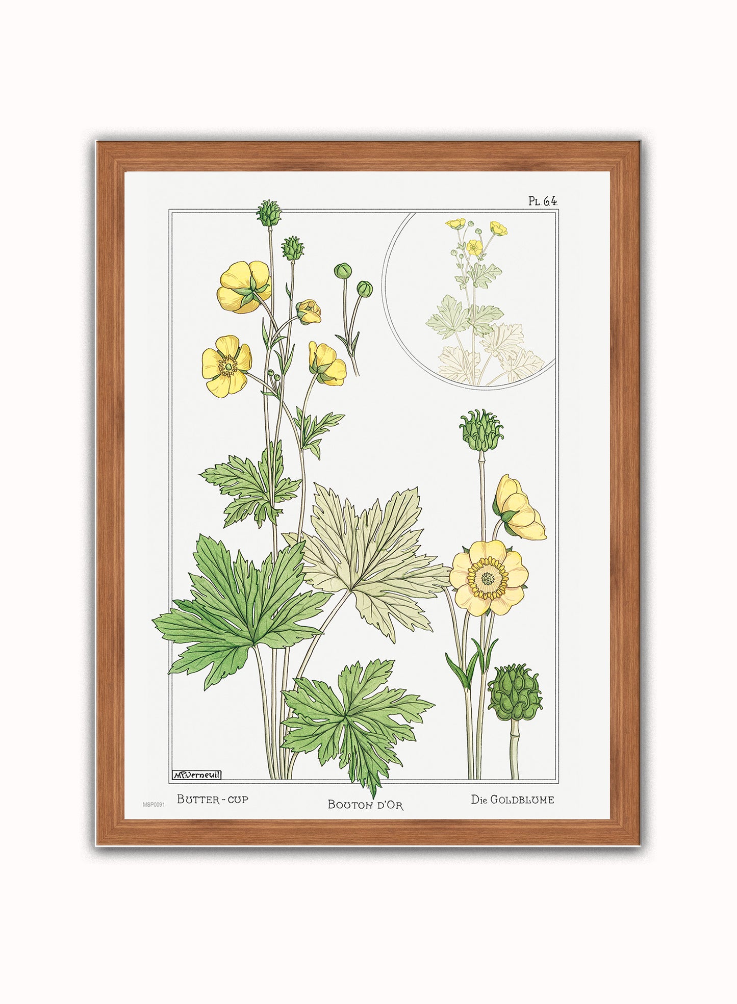 Botanical Print – Maurice Pillard Verneuil. Botanical Wall Art 30x40cm Dark Wood