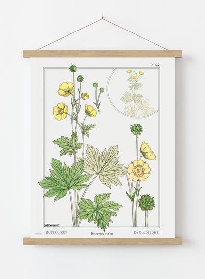 Botanical Print – Maurice Pillard Verneuil. Botanical Wall Art 30x40cm Hanger