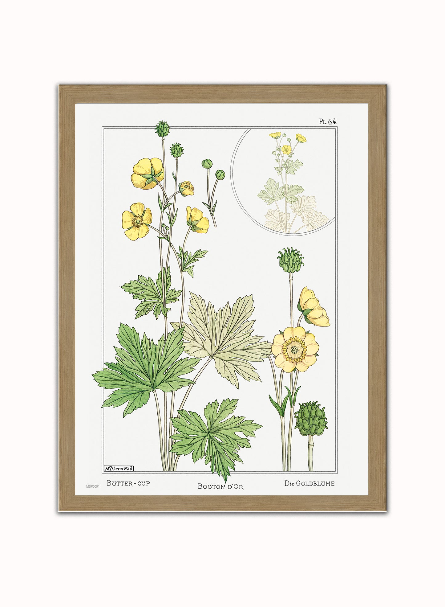 Botanical Print – Maurice Pillard Verneuil. Botanical Wall Art 30x40cm Light Wood