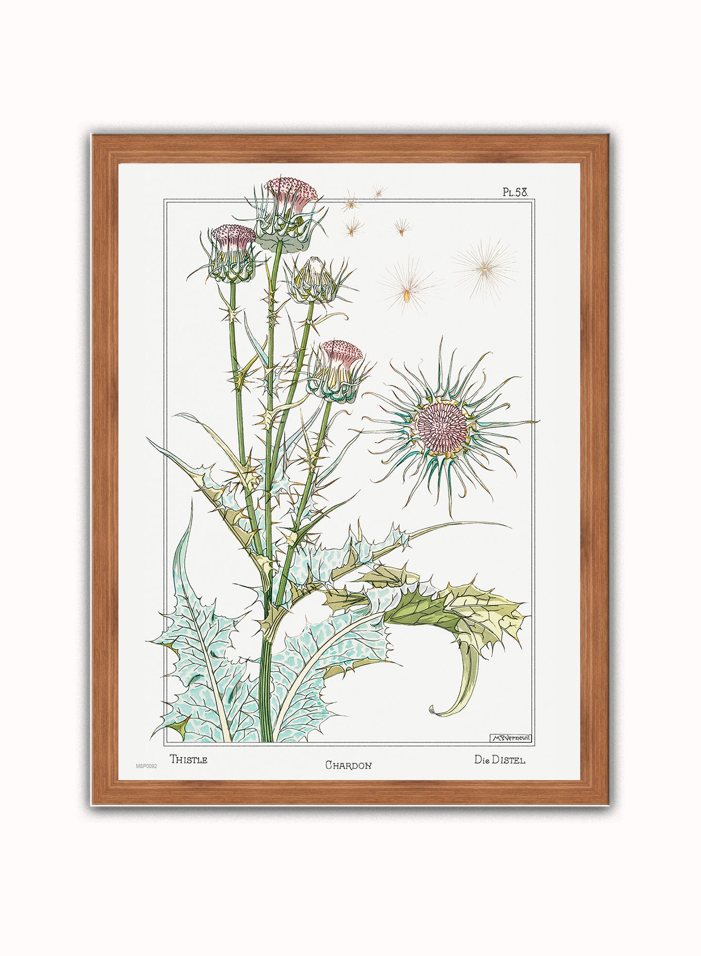 Botanical Print – Maurice Pillard Verneuil. Botanical Wall Art 30x40cm Dark Wood