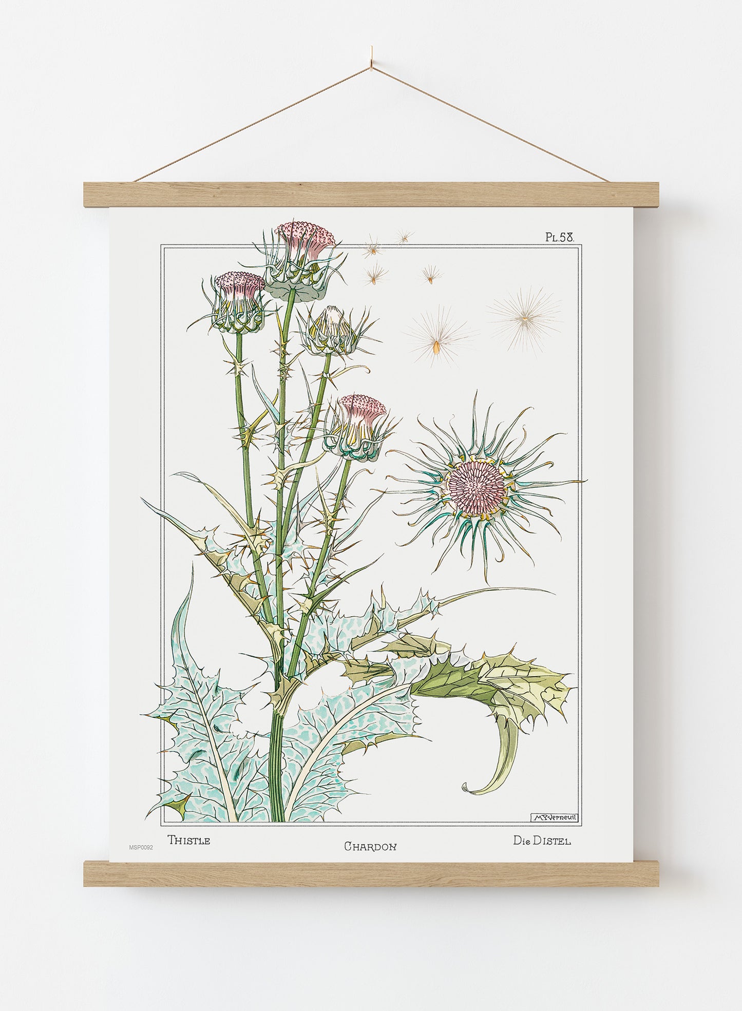 Botanical Print – Maurice Pillard Verneuil. Botanical Wall Art 30x40cm Hanger