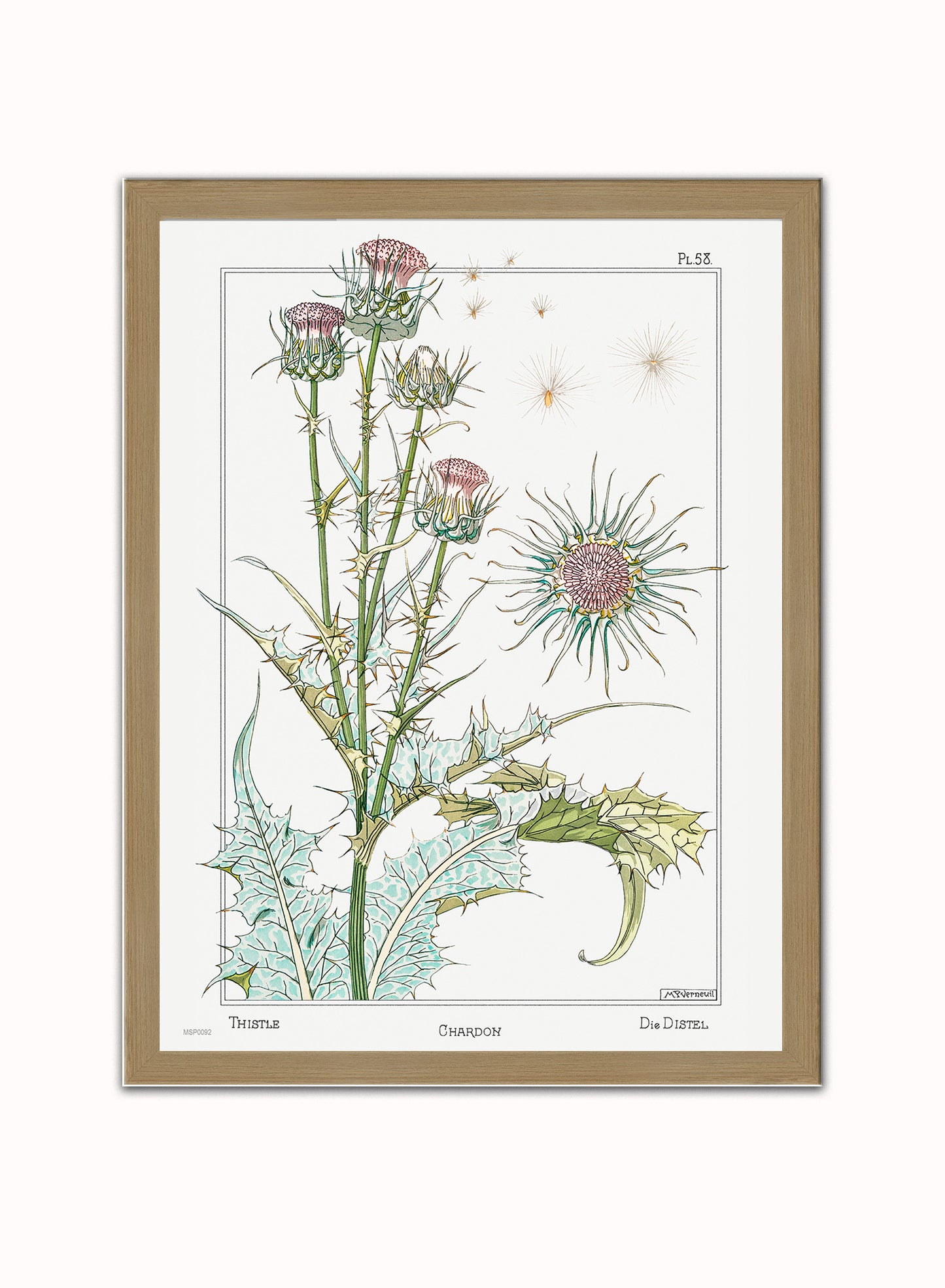 Botanical Print – Maurice Pillard Verneuil. Botanical Wall Art 30x40cm Light Wood