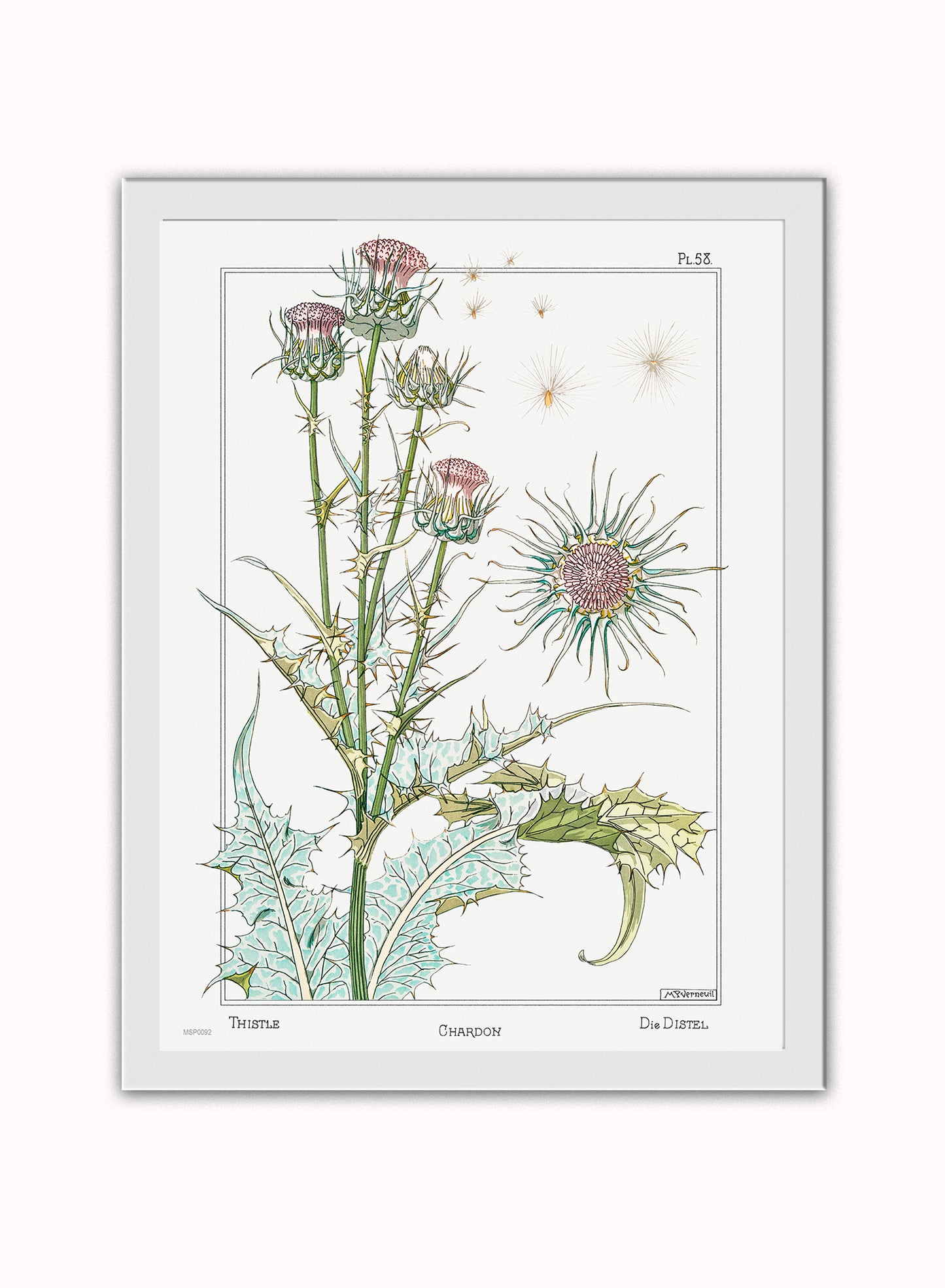 Botanical Print – Maurice Pillard Verneuil. Botanical Wall Art 30x40cm White Frame