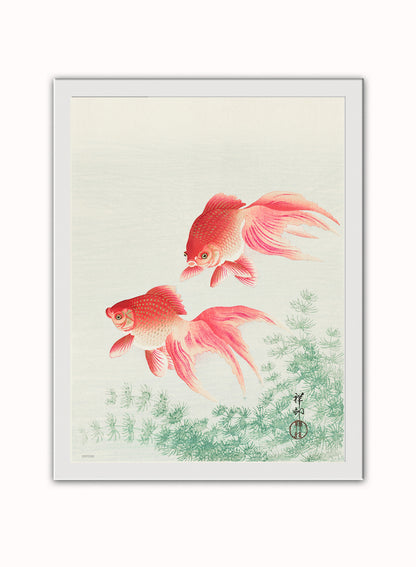 Japanese Art Print Print – Ohara Koson ( Japanese Wall Art 30x40cm White Frame