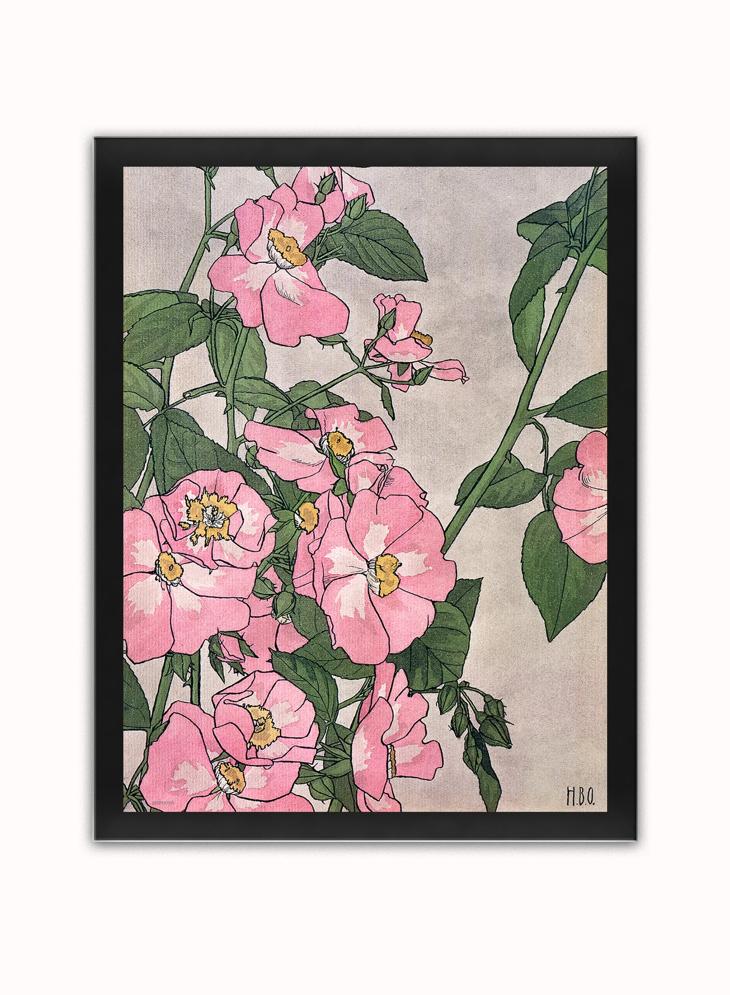 Prairie Rose (1915) by Hannah Borger Overbeck Botanical Art Print Print – Hannah Borger Overbeck Botanical Art Print Botanical Wall Art 30x40cm Black Frame