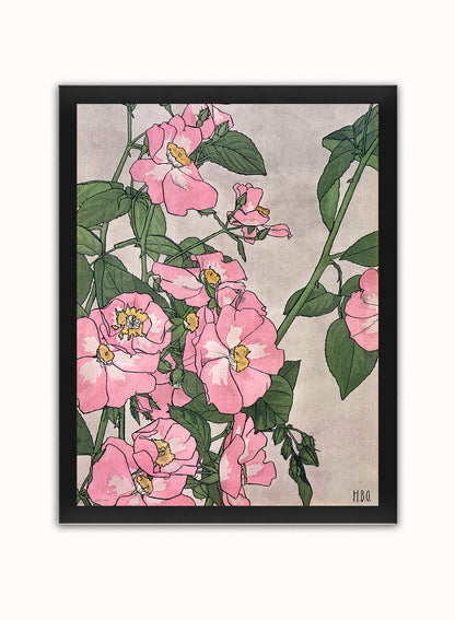Prairie Rose (1915) by Hannah Borger Overbeck Botanical Art Print Print – Hannah Borger Overbeck Botanical Art Print Botanical Wall Art 30x40cm Black Frame