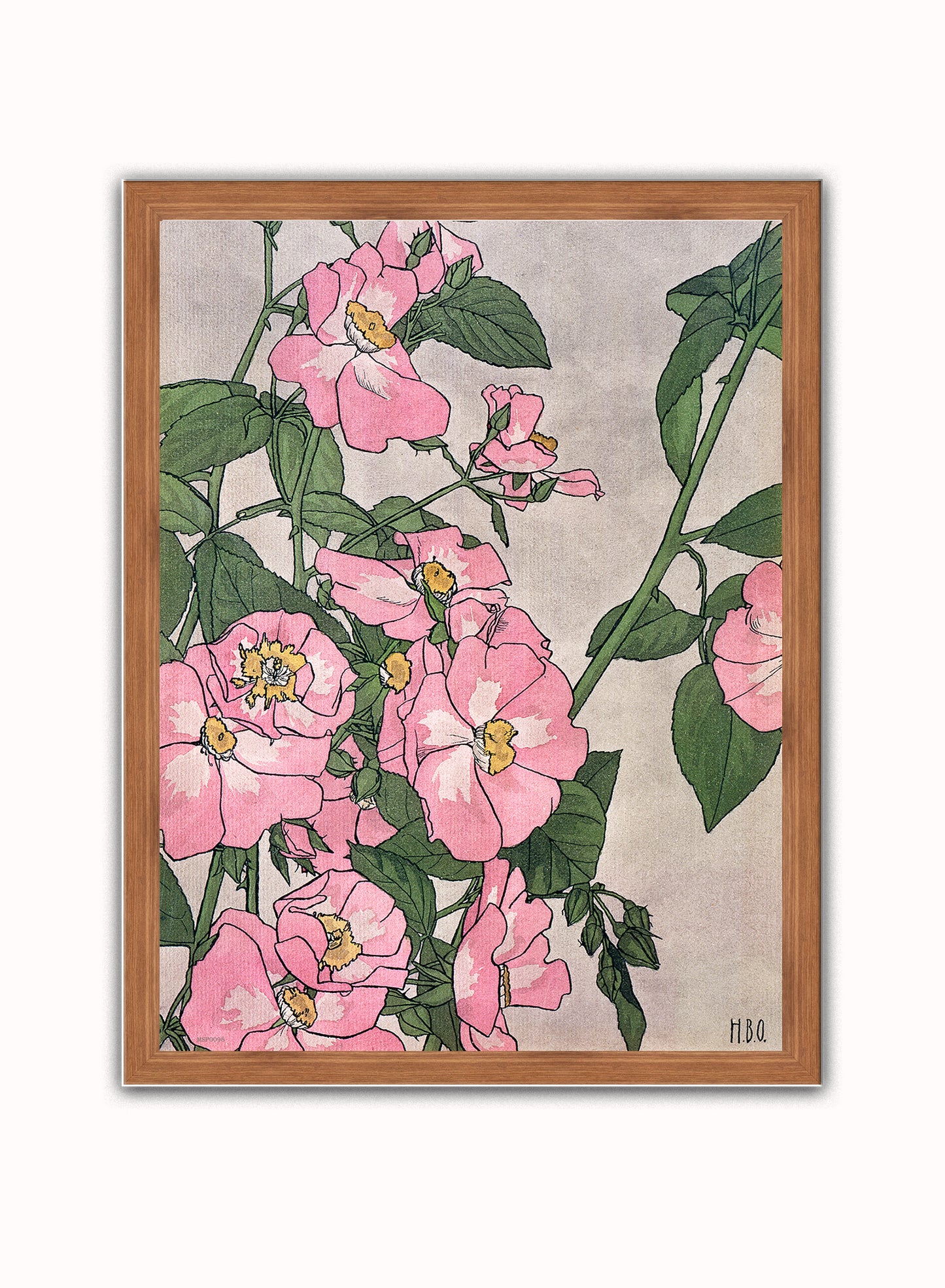 Prairie Rose (1915) by Hannah Borger Overbeck Botanical Art Print Print – Hannah Borger Overbeck Botanical Art Print Botanical Wall Art 30x40cm Dark Wood