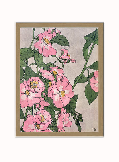 Prairie Rose (1915) by Hannah Borger Overbeck Botanical Art Print Print – Hannah Borger Overbeck Botanical Art Print Botanical Wall Art 30x40cm Light Wood