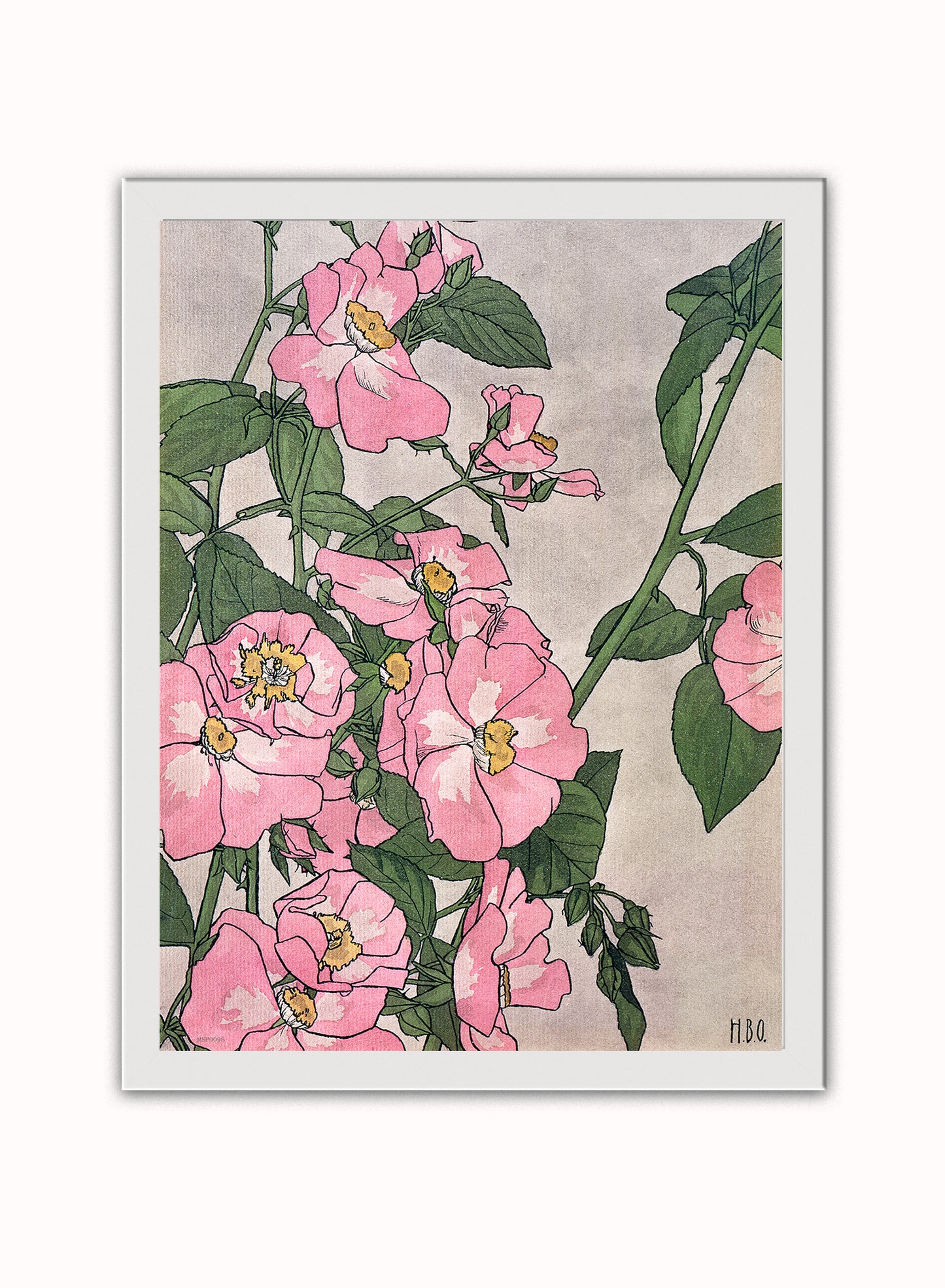 Prairie Rose (1915) by Hannah Borger Overbeck Botanical Art Print Print – Hannah Borger Overbeck Botanical Art Print Botanical Wall Art 30x40cm White Frame