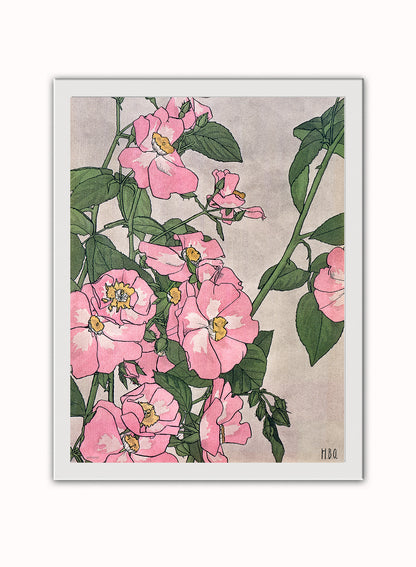 Prairie Rose (1915) by Hannah Borger Overbeck Botanical Art Print Print – Hannah Borger Overbeck Botanical Art Print Botanical Wall Art 30x40cm White Frame