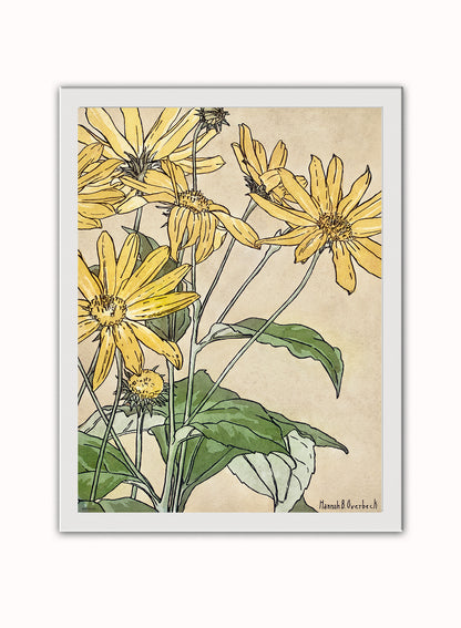 Sunflowers (1915) by Hannah Borger Overbeck Botanical Print – Hannah Borger Overbeck Botanical Botanical Wall Art 30x40cm White Frame