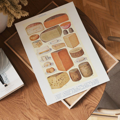 Cheese Chart Poster Vinatge Poster 30x40cm Art Print
