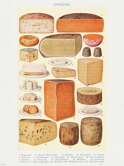 Cheese Chart Poster Vinatge Poster 30x40cm Art Print