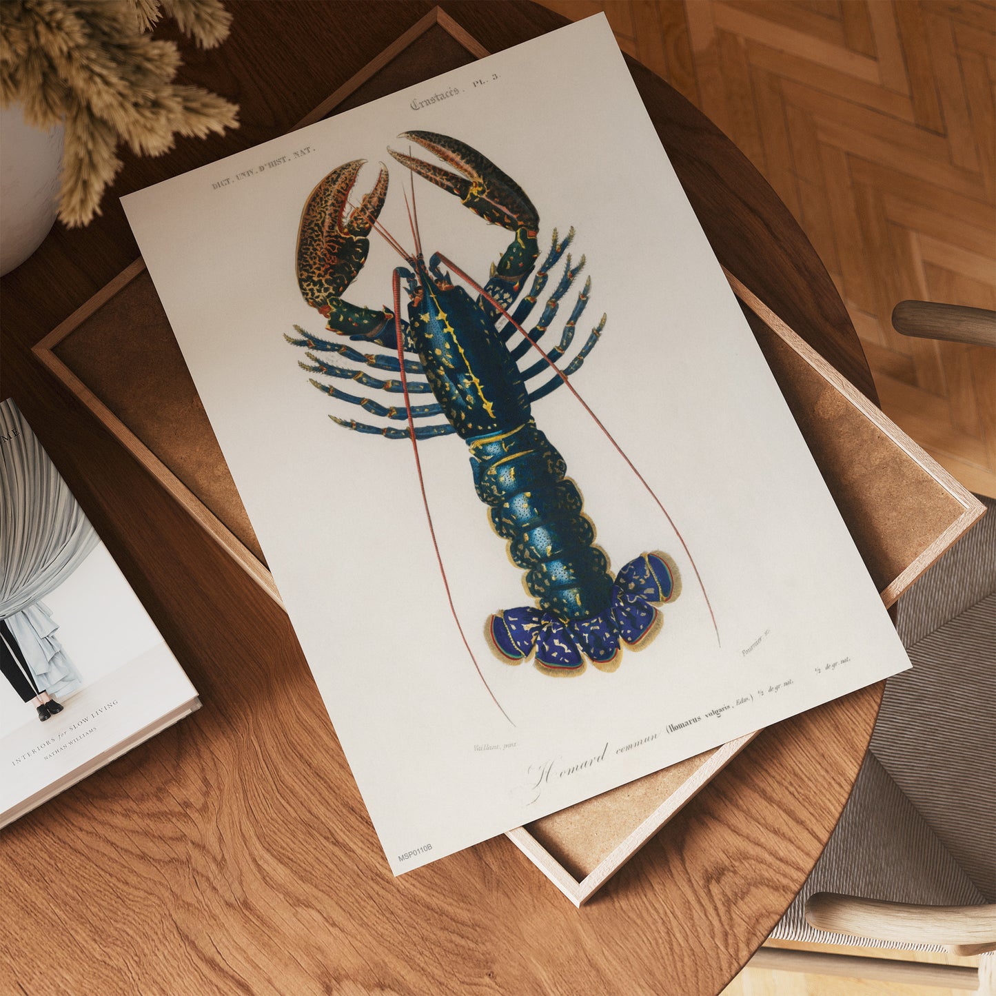 European Lobster by Charles Dessalines d'Orbigny Vinatge Poster 30x40cm Art Print